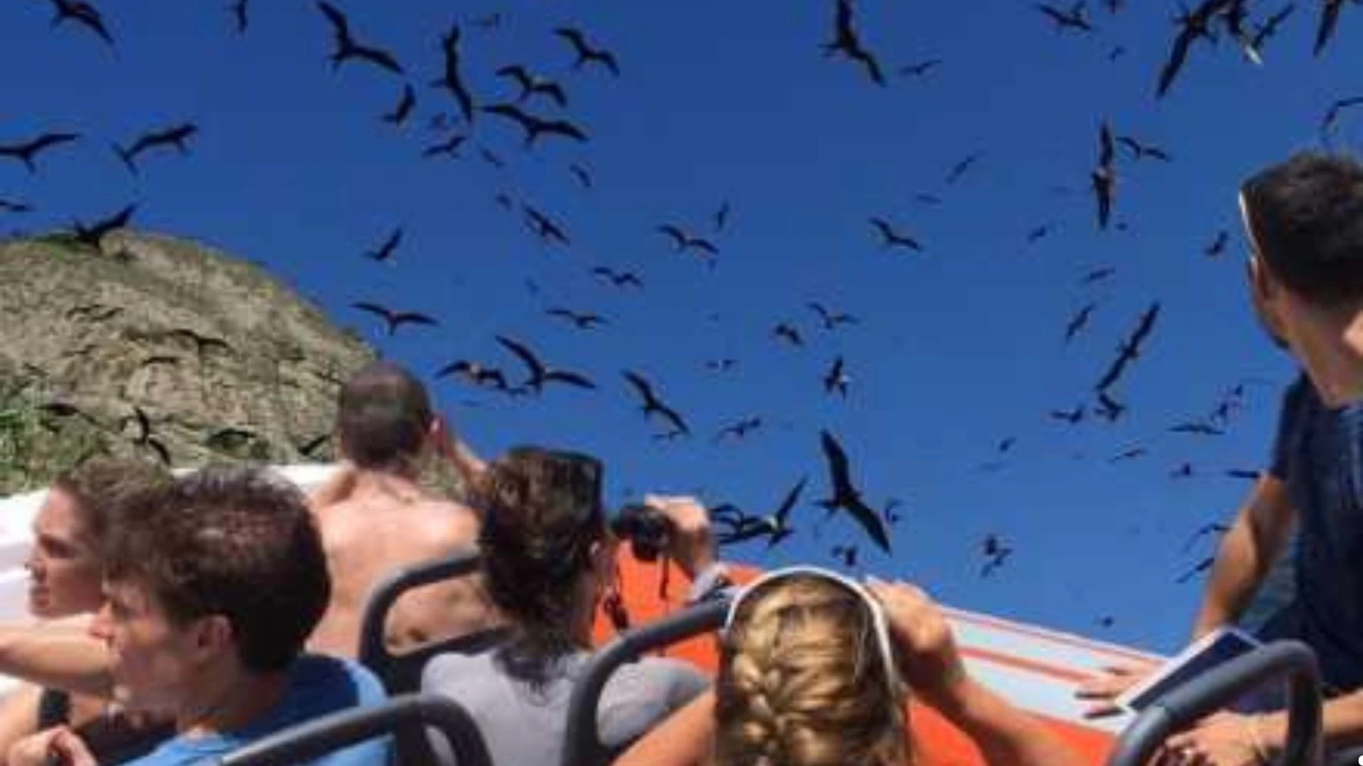 Refúgio de Alcatrazes